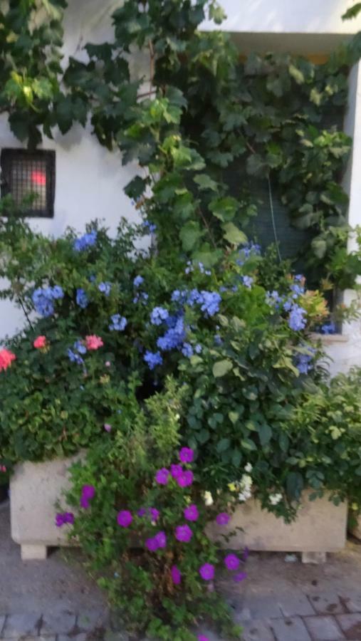 Casa Rural Francisca レケナ エクステリア 写真