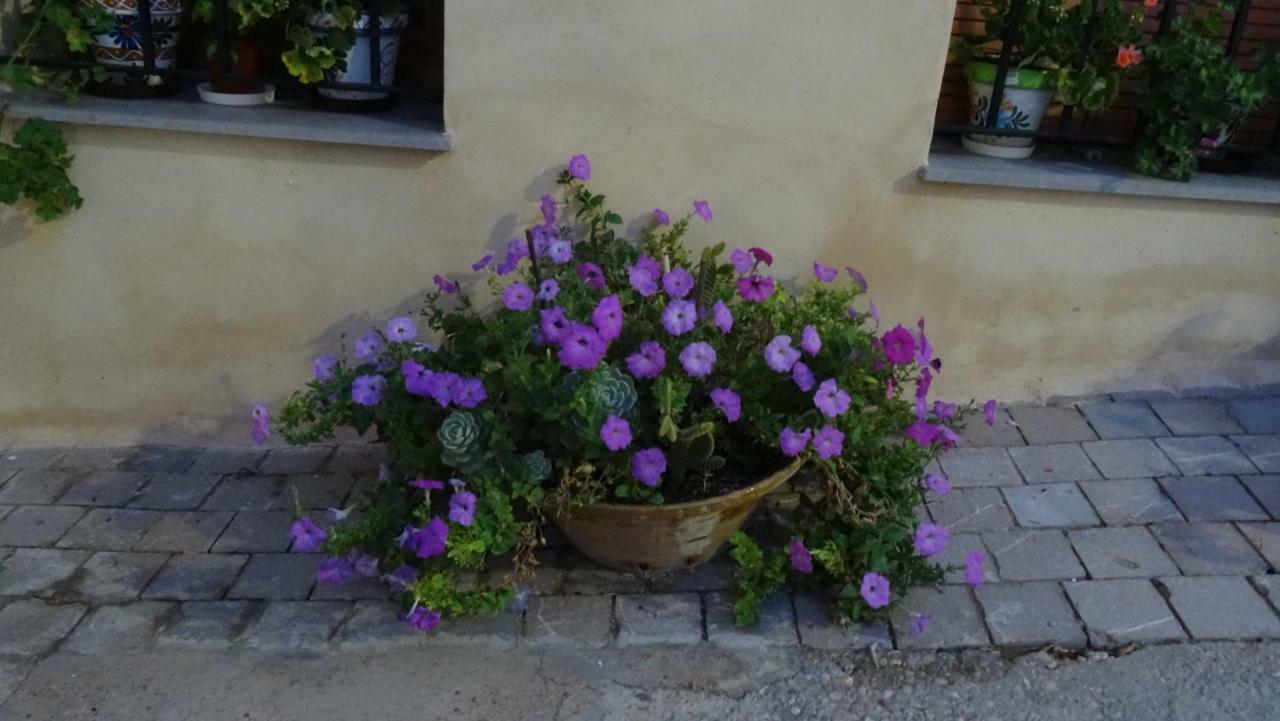 Casa Rural Francisca レケナ エクステリア 写真